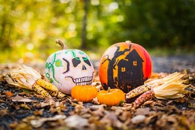 halloween zucca