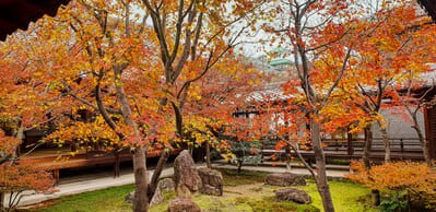 kyoto giardini