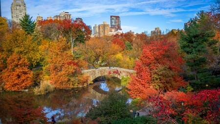 central park